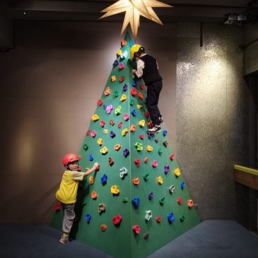 Woolloomooloo's Climbing Christmas Tree